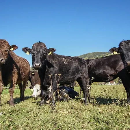 Donisbauerhof * Lieserbrucke