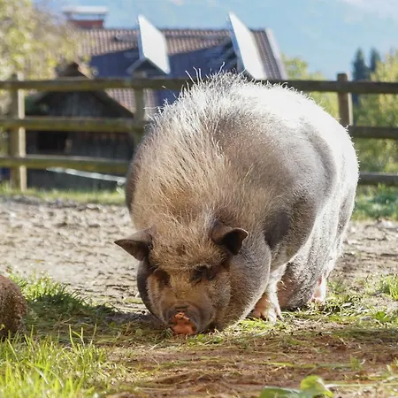 Apartment Donisbauerhof *