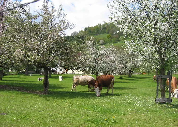 דירה Donisbauerhof