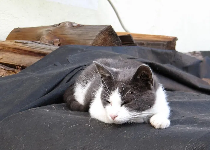 דירה Donisbauerhof *