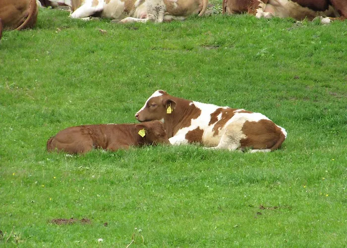 Donisbauerhof דירה Lieserbrücke