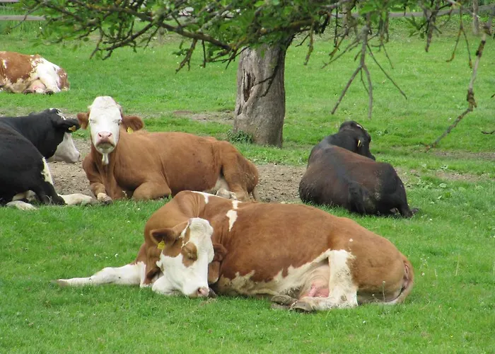 Donisbauerhof דירה *