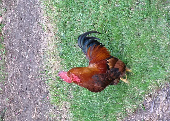 Donisbauerhof דירה Lieserbrücke