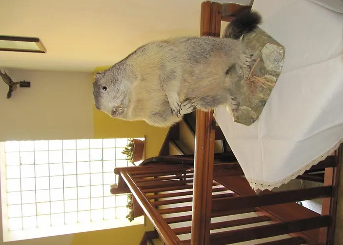 Donisbauerhof דירה *