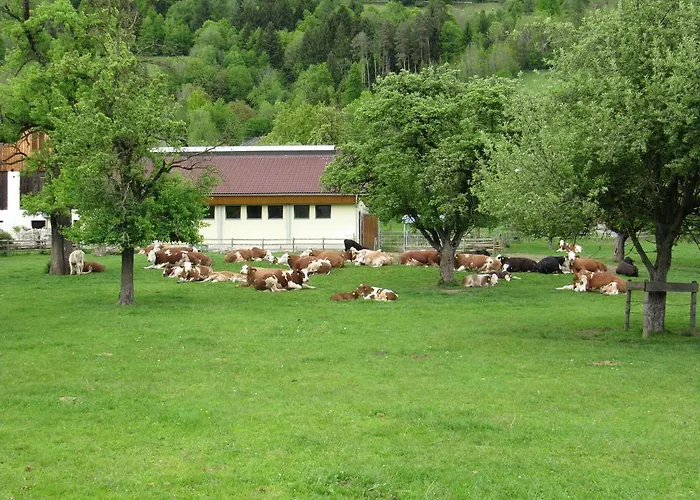 Donisbauerhof דירה *