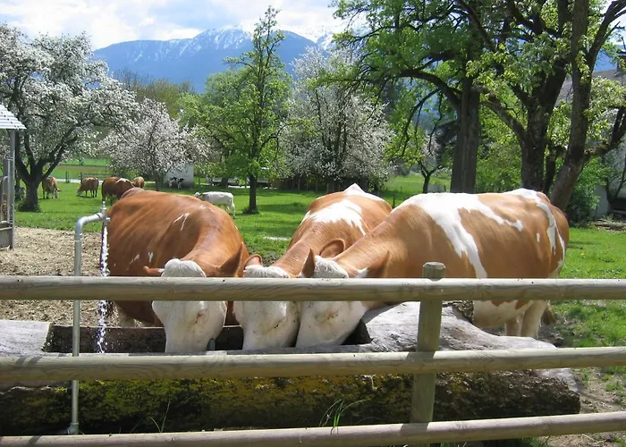 דירה Donisbauerhof *