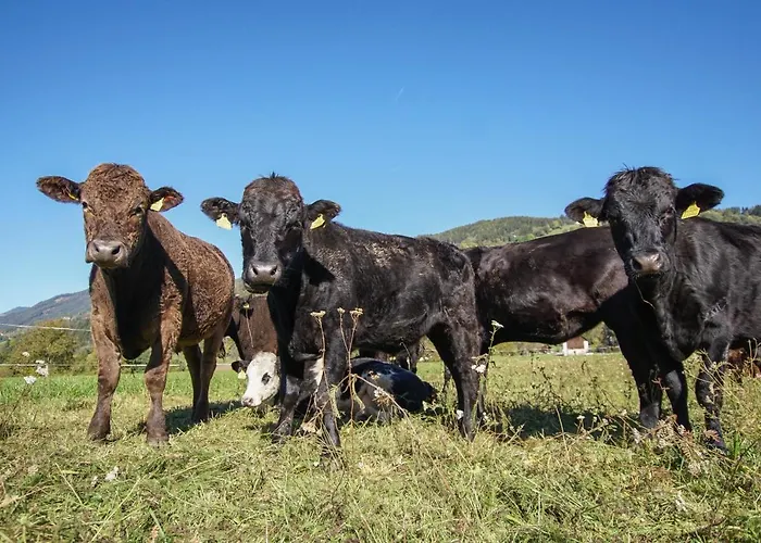 Donisbauerhof * Lieserbrücke