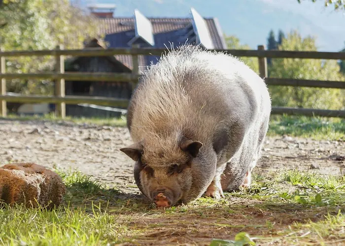 דירה Donisbauerhof *