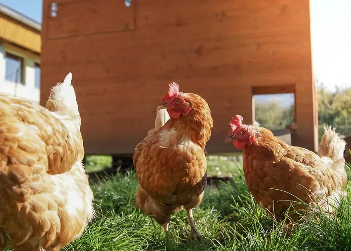 Donisbauerhof דירה